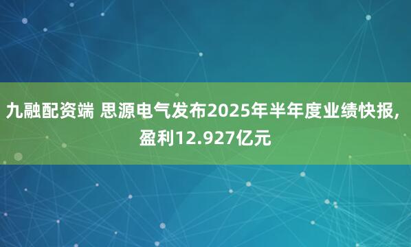 九融配资端 思源电气发布2025年半年度业绩快报, 盈利12.927亿元