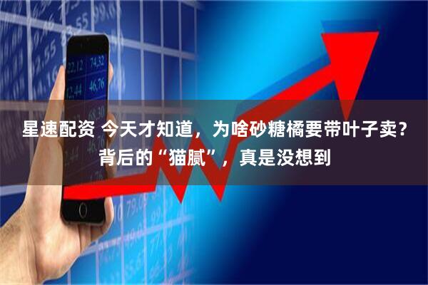 星速配资 今天才知道，为啥砂糖橘要带叶子卖？背后的“猫腻”，真是没想到