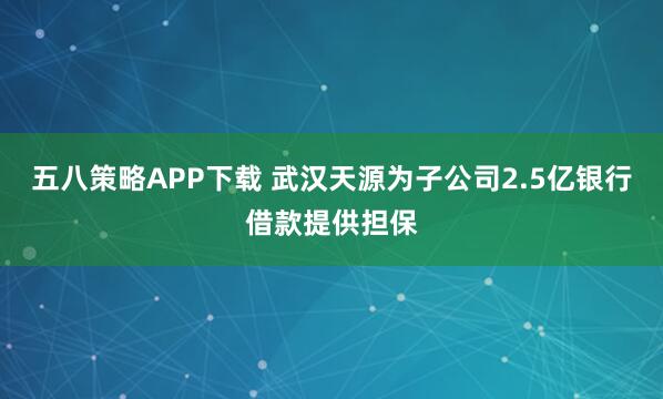 五八策略APP下载 武汉天源为子公司2.5亿银行借款提供担保
