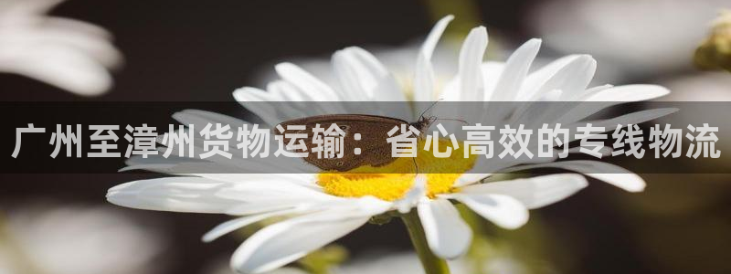 绿色版888集团welcome