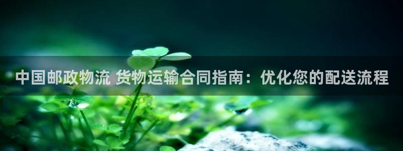 绿色版本888棋牌网页