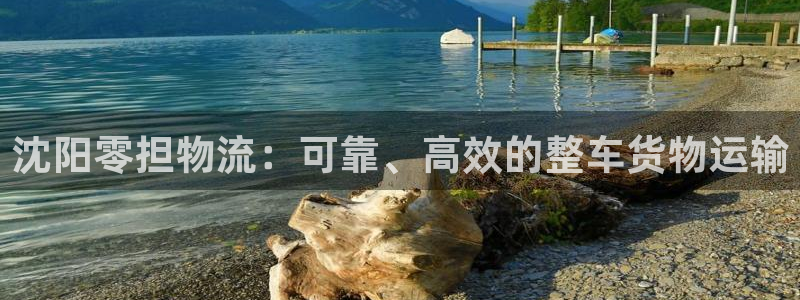 紫色888集团的网站多少